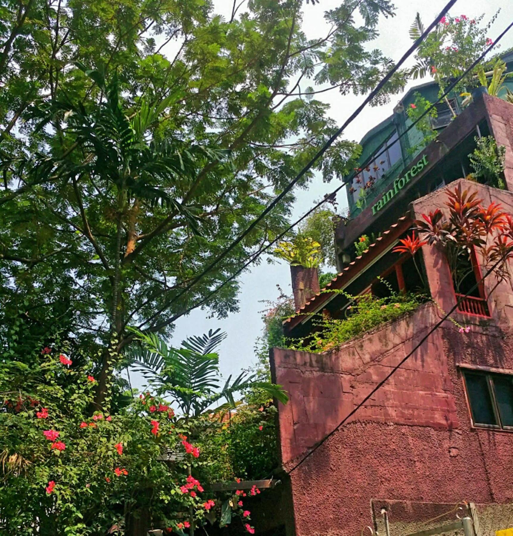 Rainforest Bed & Breakfast Kuala Lumpur Exterior foto